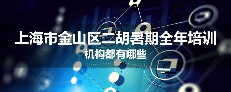 上海市金山区二胡暑期全年培训机构都有哪些