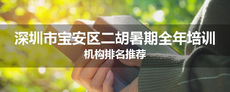 深圳市宝安区二胡暑期全年培训机构排名推荐