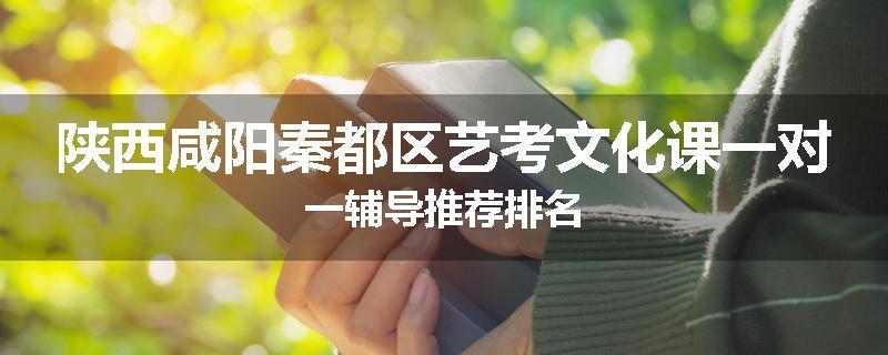 陕西咸阳秦都区艺考文化课一对一辅导推荐排名