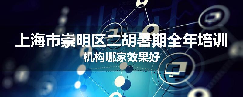 上海市崇明区二胡暑期全年培训机构哪家效果好
