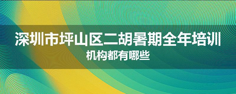 深圳市坪山区二胡暑期全年培训机构都有哪些
