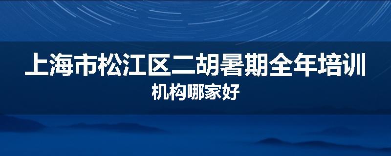 上海市松江区二胡暑期全年培训机构哪家好