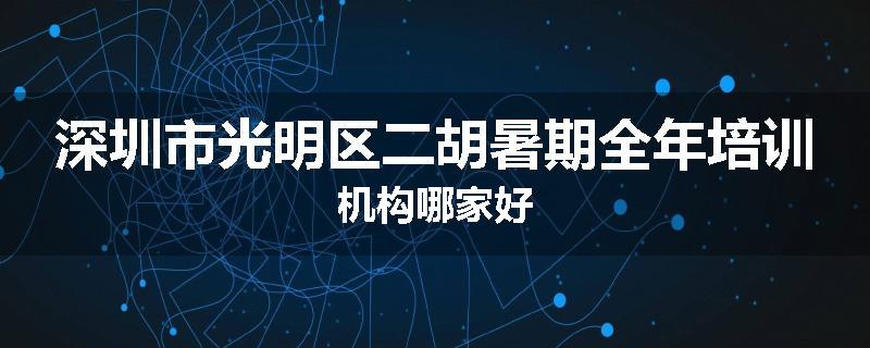 深圳市光明区二胡暑期全年培训机构哪家好