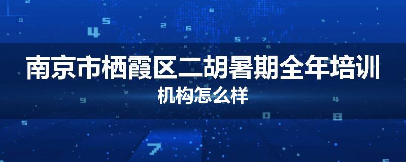 南京市栖霞区二胡暑期全年培训机构怎么样