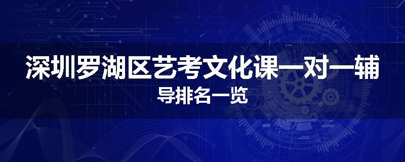 深圳罗湖区艺考文化课一对一辅导排名一览