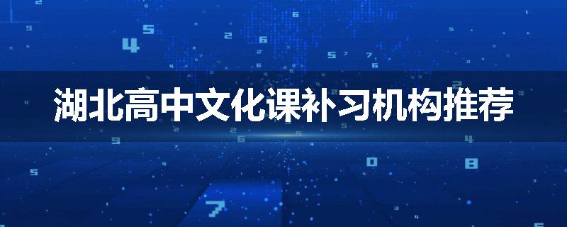湖北高中文化课补习机构推荐