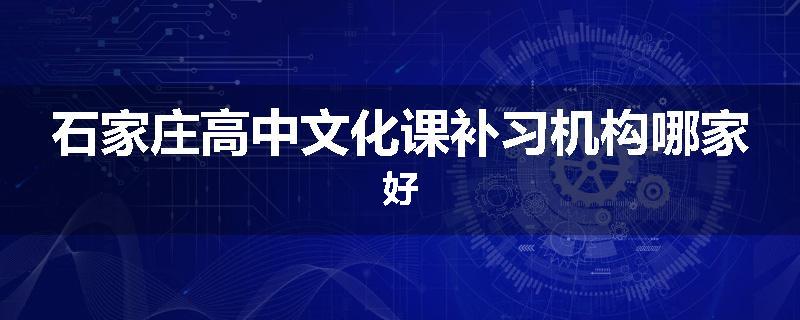 石家庄高中文化课补习机构哪家好