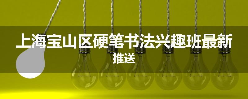 上海宝山区硬笔书法兴趣班最新推送