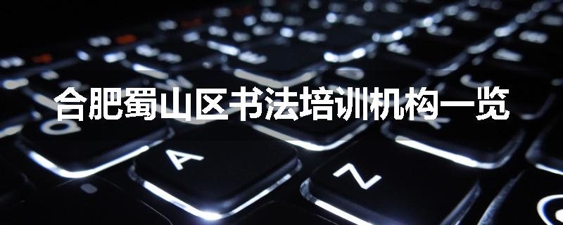 合肥蜀山区书法培训机构一览