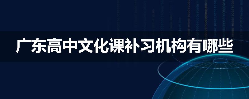 广东高中文化课补习机构有哪些