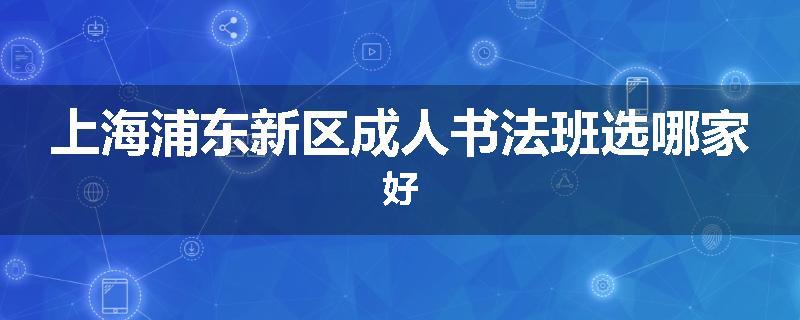 上海浦东新区成人书法班选哪家好