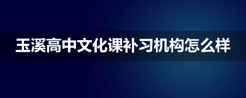 玉溪高中文化课补习机构怎么样