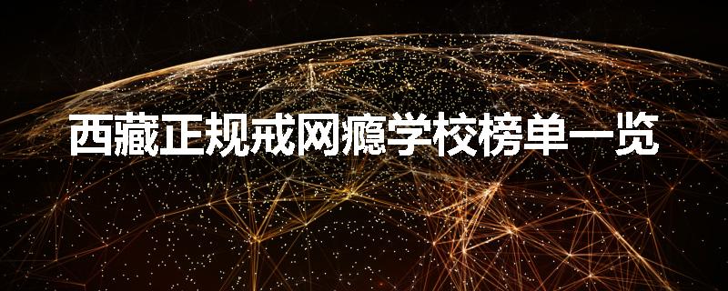 西藏正规戒网瘾学校榜单一览