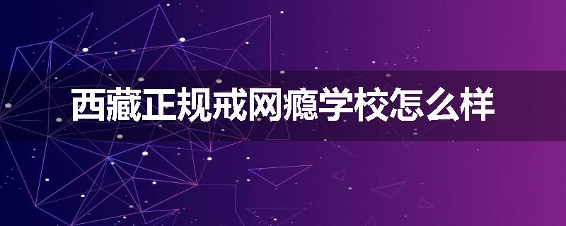 西藏正规戒网瘾学校怎么样