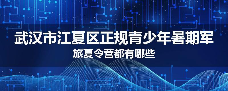 武汉市江夏区正规青少年暑期军旅夏令营都有哪些