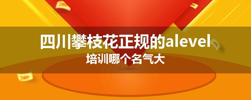 四川攀枝花正规的alevel培训哪个名气大