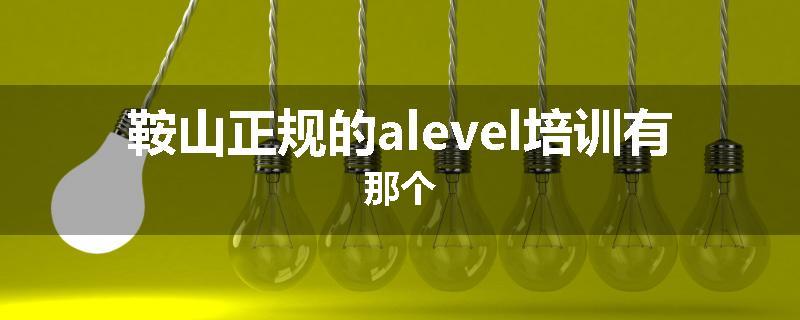鞍山正规的alevel培训有那个