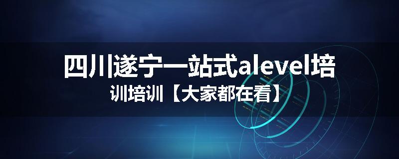 四川遂宁一站式alevel培训培训【大家都在看】