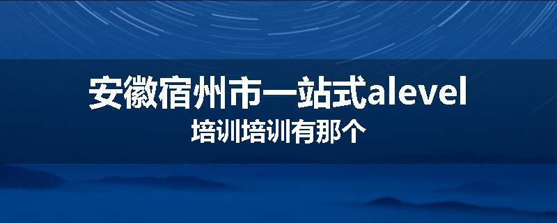 安徽宿州市一站式alevel培训培训有那个