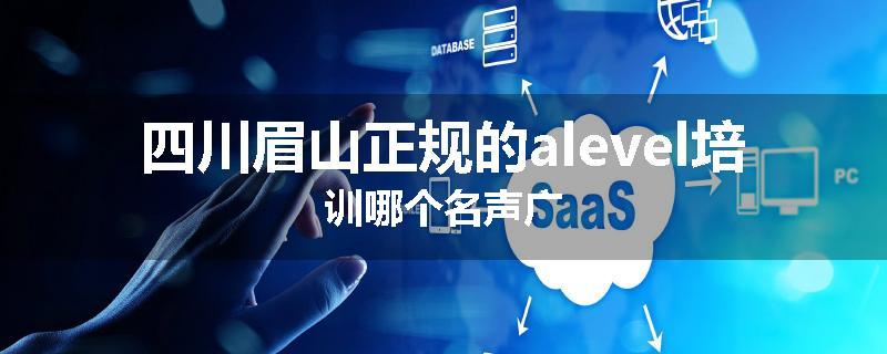 四川眉山正规的alevel培训哪个名声广