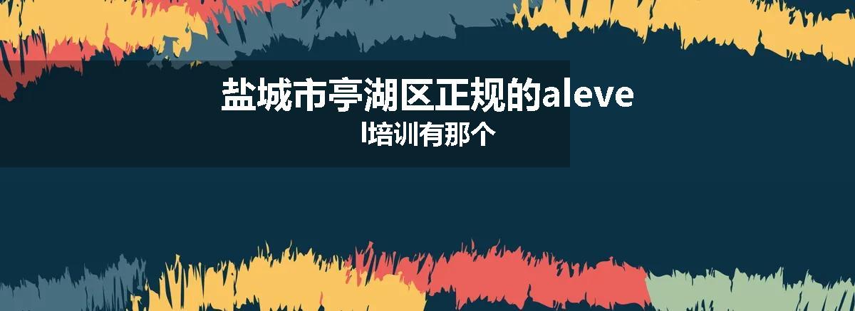 盐城市亭湖区正规的alevel培训有那个