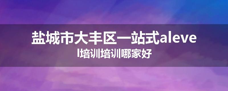 盐城市大丰区一站式alevel培训培训哪家好