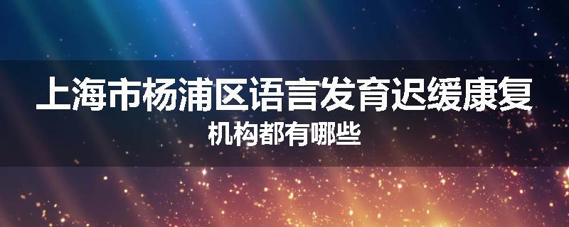 上海市杨浦区语言发育迟缓康复机构都有哪些