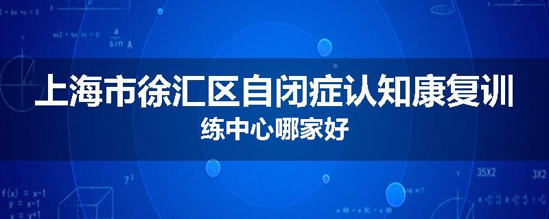 上海市徐汇区自闭症认知康复训练中心哪家好