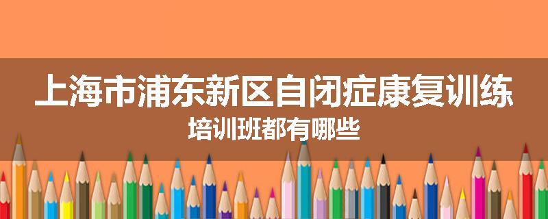 上海市浦东新区自闭症康复训练培训班都有哪些