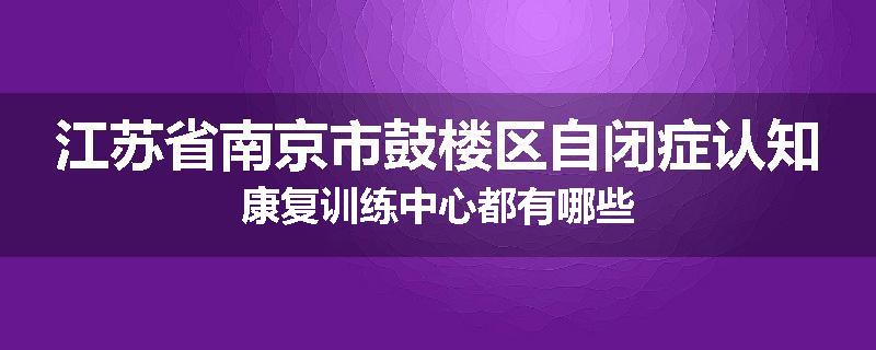 江苏省南京市鼓楼区自闭症认知康复训练中心都有哪些