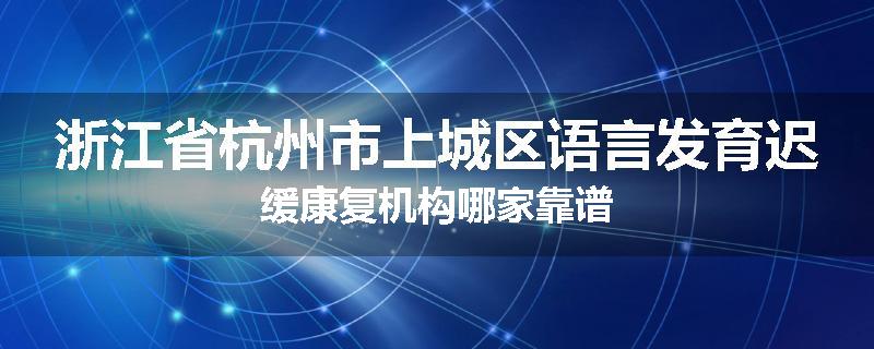浙江省杭州市上城区语言发育迟缓康复机构哪家靠谱