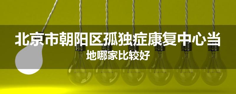 北京市朝阳区孤独症康复中心当地哪家比较好