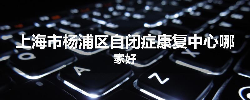 上海市杨浦区自闭症康复中心哪家好