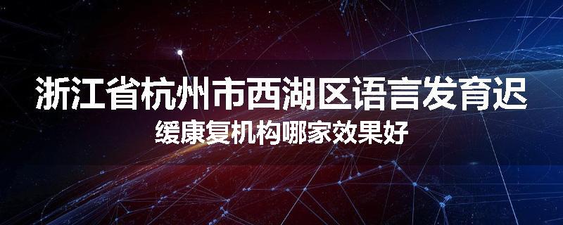 浙江省杭州市西湖区语言发育迟缓康复机构哪家效果好