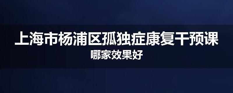 上海市杨浦区孤独症康复干预课哪家效果好