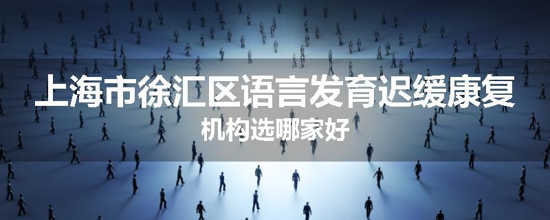 上海市徐汇区语言发育迟缓康复机构选哪家好