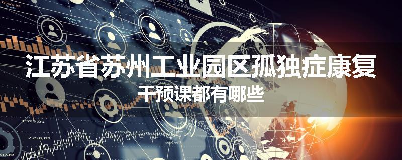 江苏省苏州工业园区孤独症康复干预课都有哪些