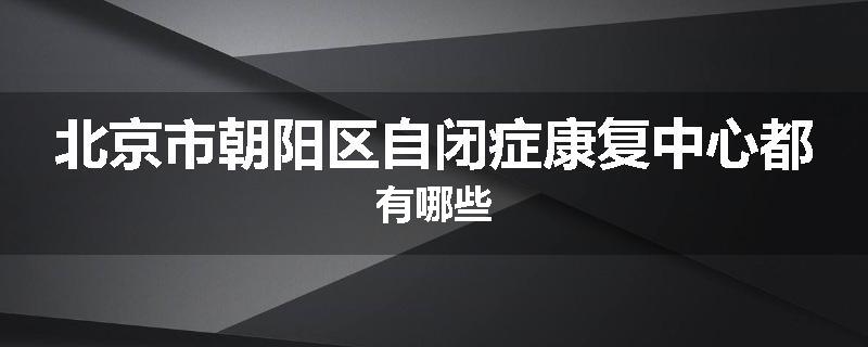 北京市朝阳区自闭症康复中心都有哪些