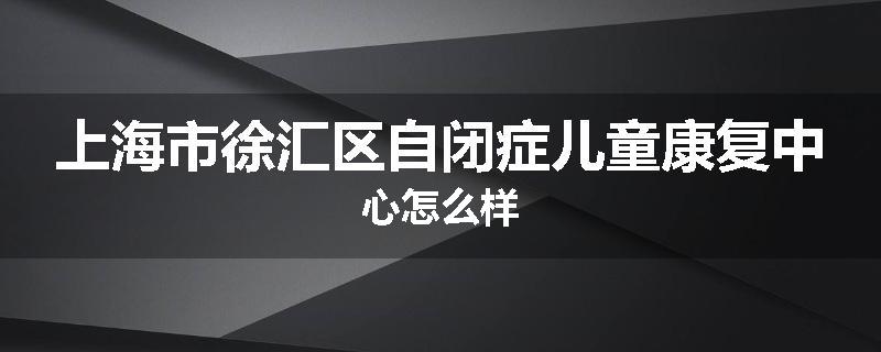 上海市徐汇区自闭症儿童康复中心怎么样