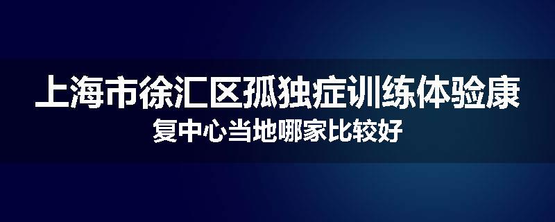 上海市徐汇区孤独症训练体验康复中心当地哪家比较好