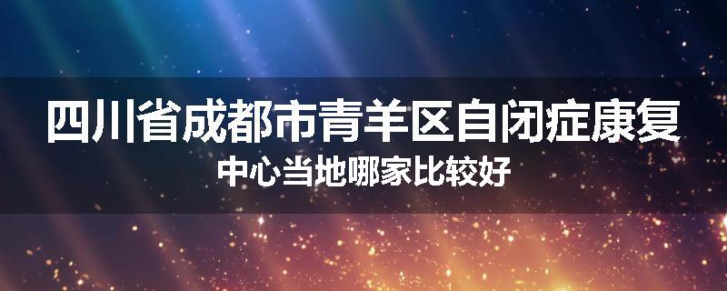四川省成都市青羊区自闭症康复中心当地哪家比较好