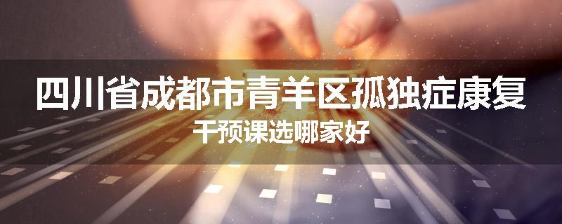 四川省成都市青羊区孤独症康复干预课选哪家好