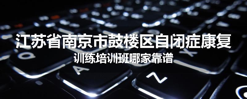江苏省南京市鼓楼区自闭症康复训练培训班哪家靠谱