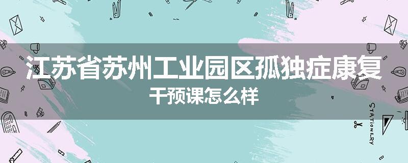 江苏省苏州工业园区孤独症康复干预课怎么样