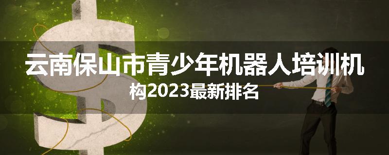 云南保山市青少年机器人培训机构2023最新排名