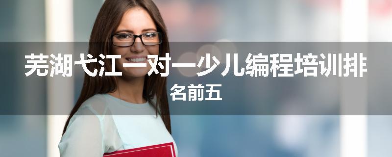 芜湖弋江一对一少儿编程培训排名前五
