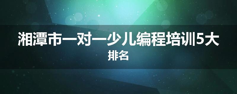 湘潭市一对一少儿编程培训5大排名
