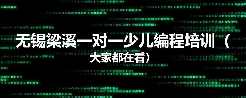 无锡梁溪一对一少儿编程培训（大家都在看）