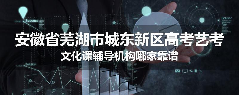 安徽省芜湖市城东新区高考艺考文化课辅导机构哪家靠谱