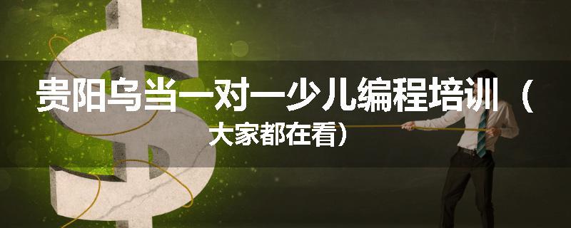 贵阳乌当一对一少儿编程培训（大家都在看）